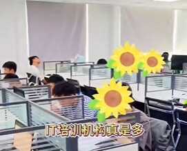 大专计算机学点什么比较好？